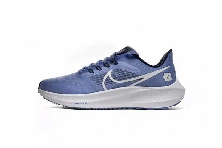 Zoom Pegasus 39