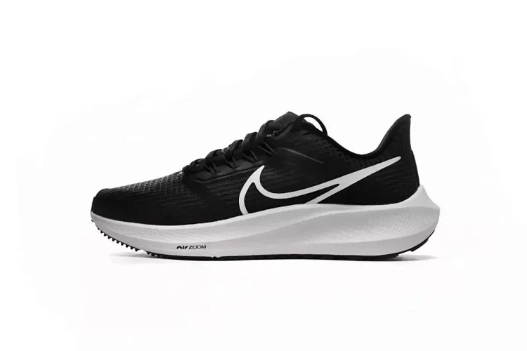 Zoom Pegasus 39