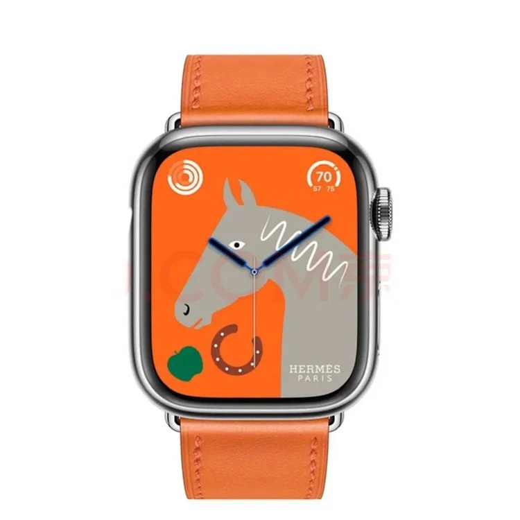 Fashion Accessory 4745
