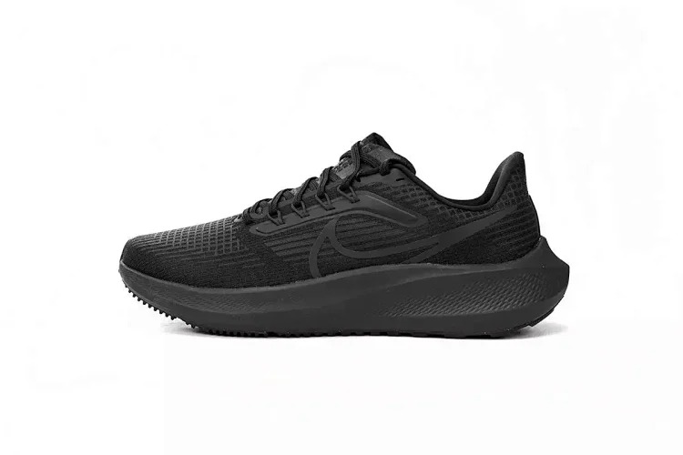 Zoom Pegasus 39