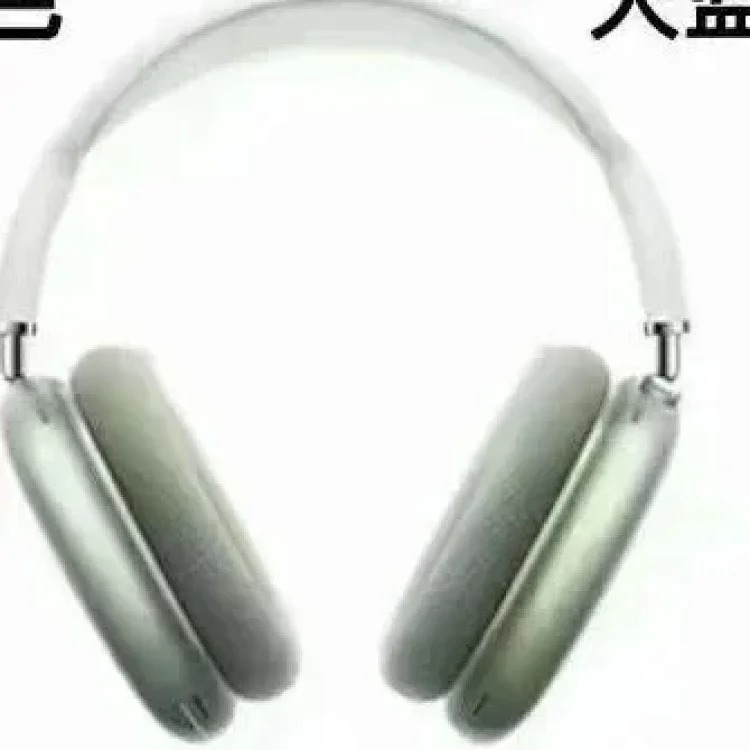 Fashion Accessory 7798157675