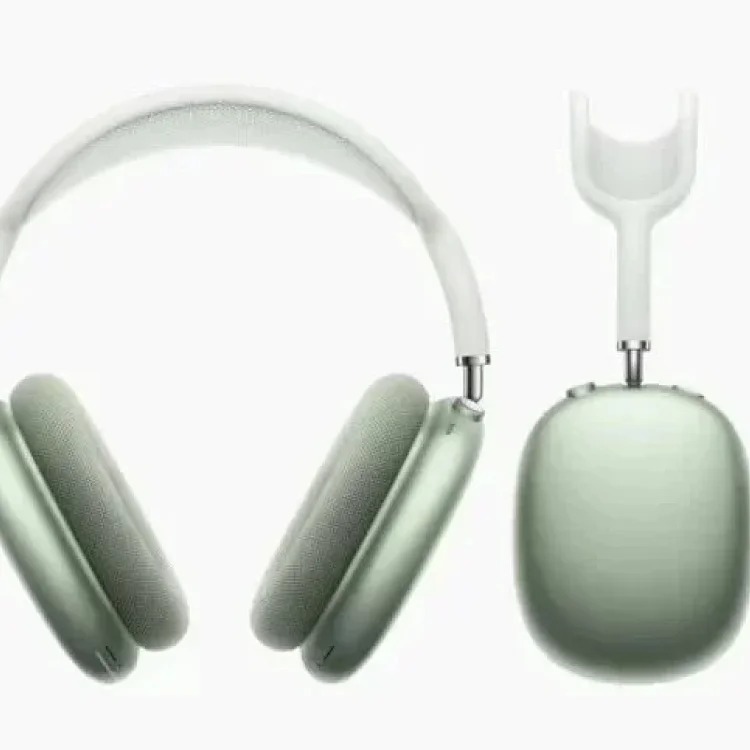 Fashion Accessory 7798246875