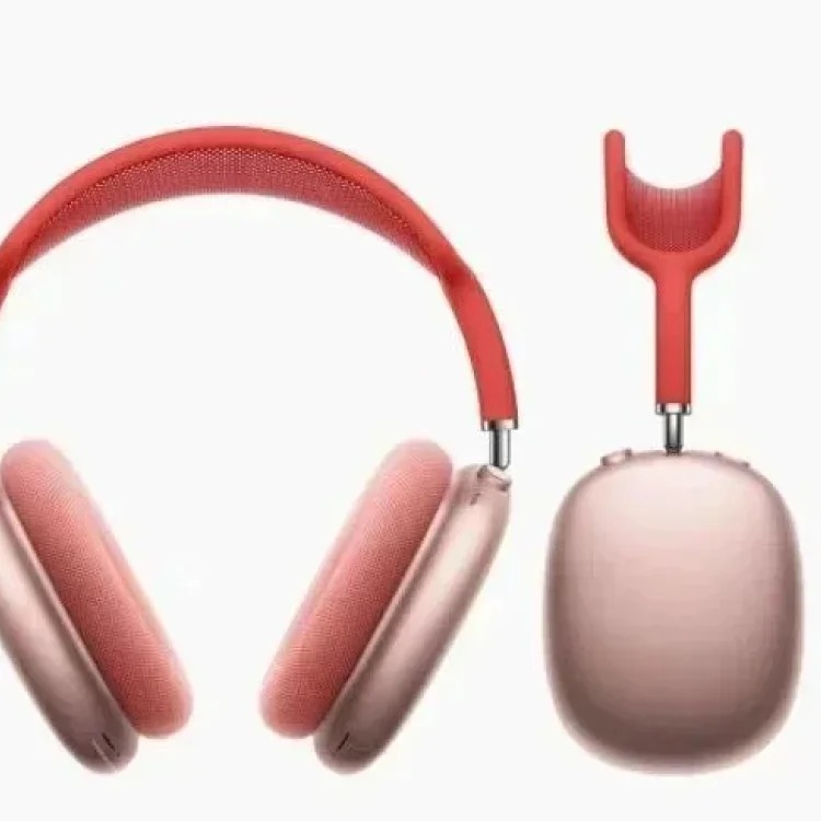 Fashion Accessory 7798428527