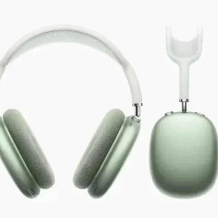 Fashion Accessory 7798428527