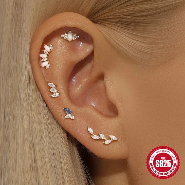 Heart Rhinestone Silver Earrings