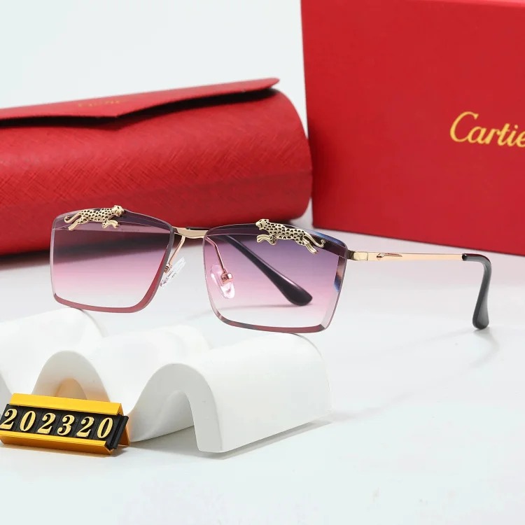 Trendy Sunglasses