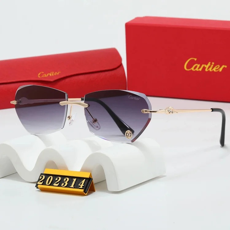 Trendy Sunglasses