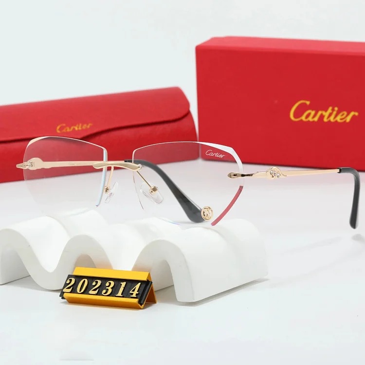 Trendy Sunglasses