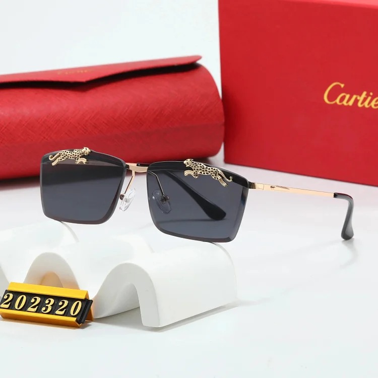 Trendy Sunglasses