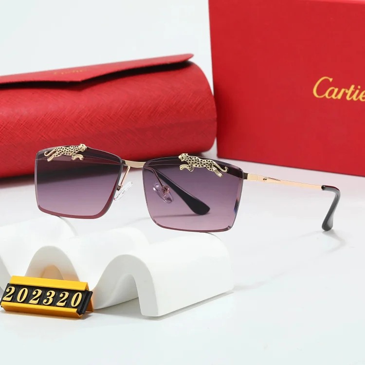 Trendy Sunglasses