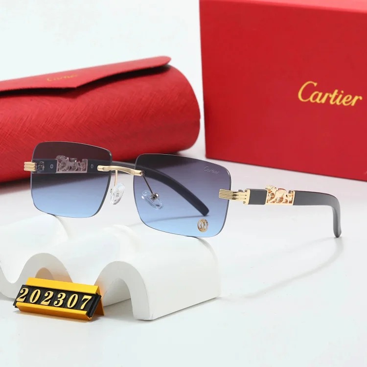 Trendy Sunglasses