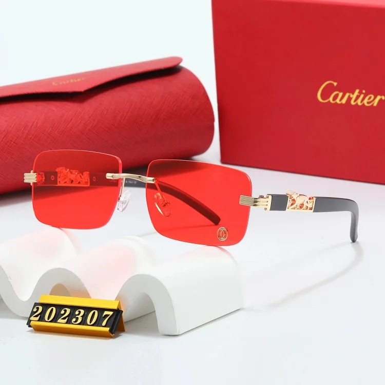 Trendy Sunglasses