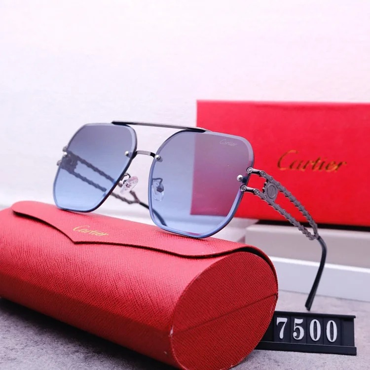 NEW-1 Not all sunglasses are called "fashionable", but mine is exactly the style!