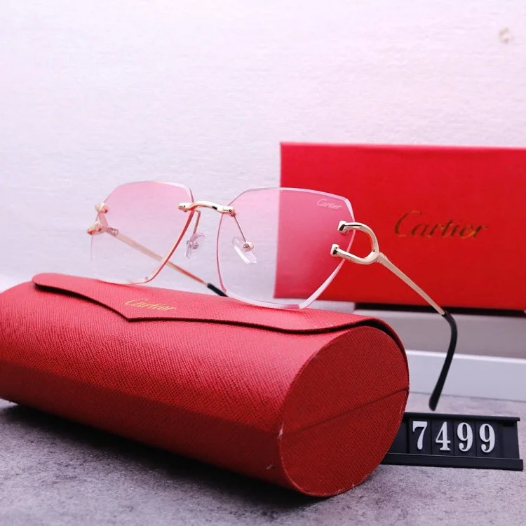 NEW-1 Not all sunglasses are called "fashionable", but mine is exactly the style!