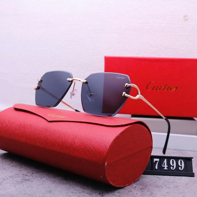 NEW-1 Not all sunglasses are called "fashionable", but mine is exactly the style!