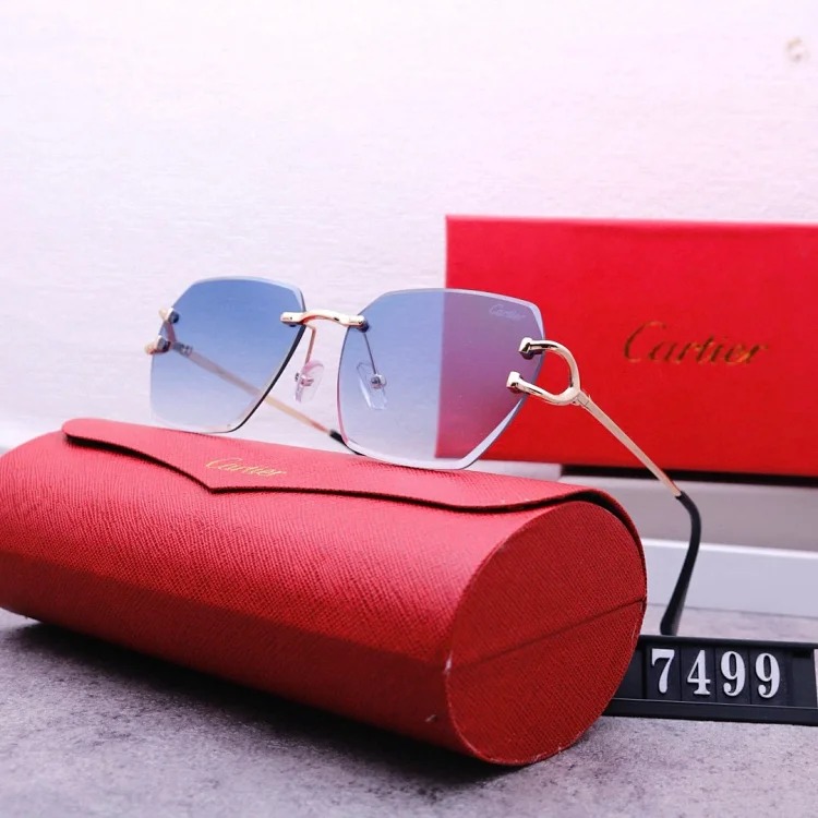 NEW-1 Not all sunglasses are called "fashionable", but mine is exactly the style!
