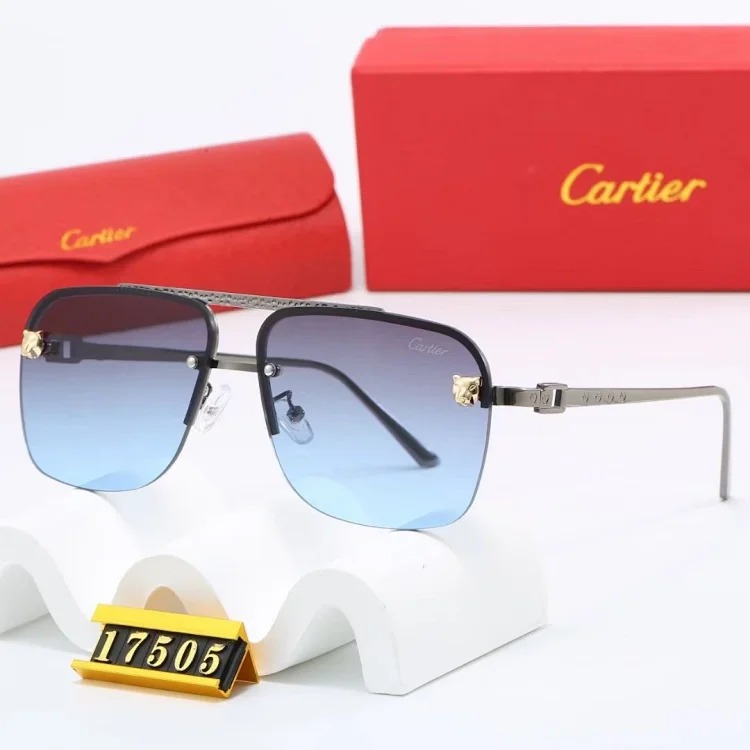 NEW-1 Not all sunglasses are called "fashionable", but mine is exactly the style!