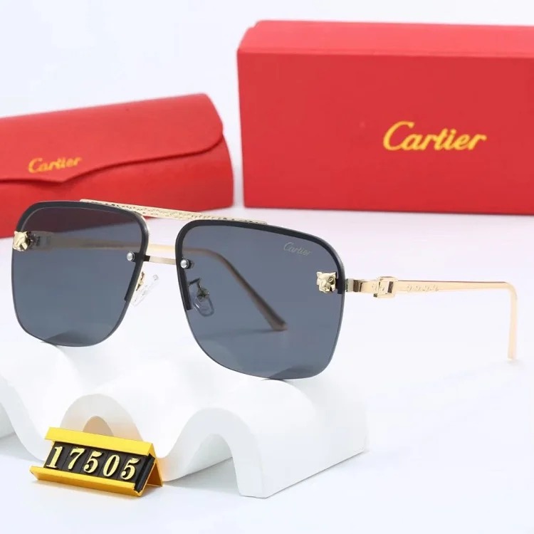 NEW-1 Not all sunglasses are called "fashionable", but mine is exactly the style!