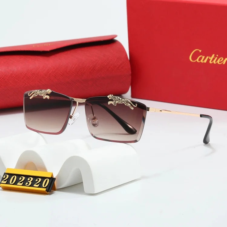 NEW-1 Not all sunglasses are called "fashionable", but mine is exactly the style!