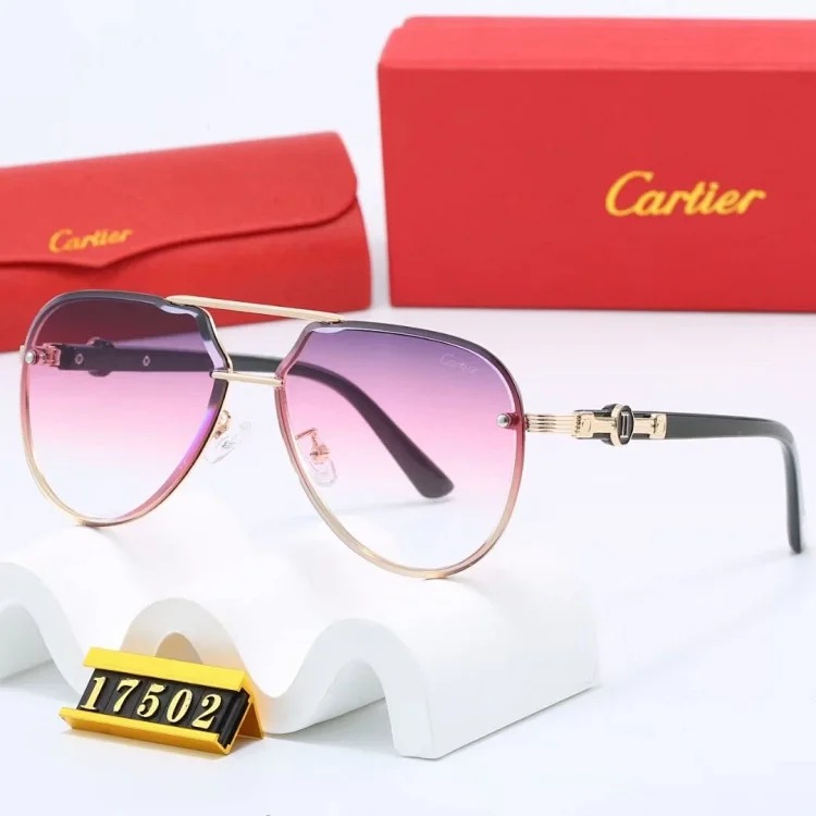 NEW-1 Not all sunglasses are called "fashionable", but mine is exactly the style!
