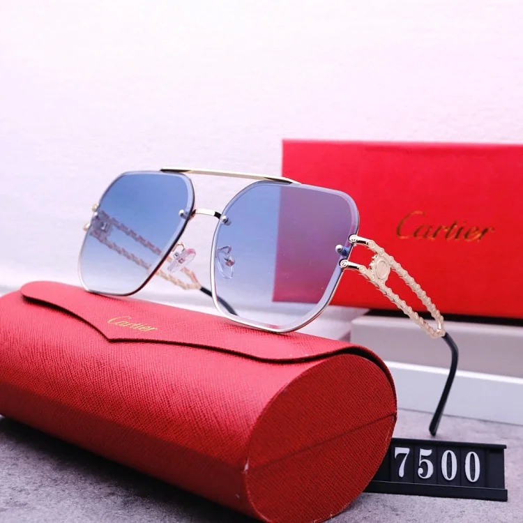 NEW-1 Not all sunglasses are called "fashionable", but mine is exactly the style!