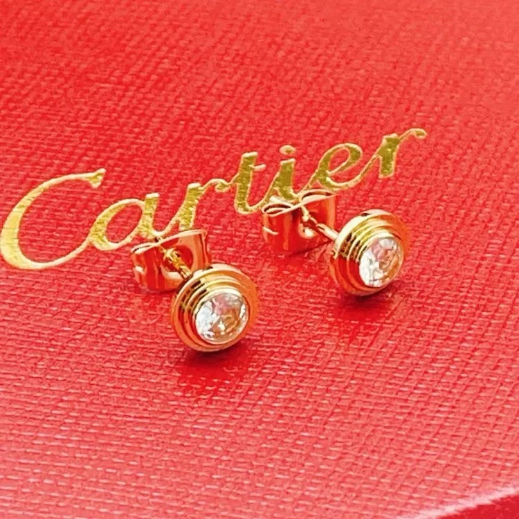 Xiaoxiangfeng autumn and winter temperament silver needle letter new earrings earrings simple temperament high-end versatile earrings 148