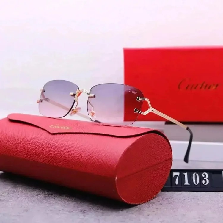 Fashion Sunglasses