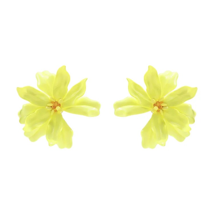 Fashion Earrings