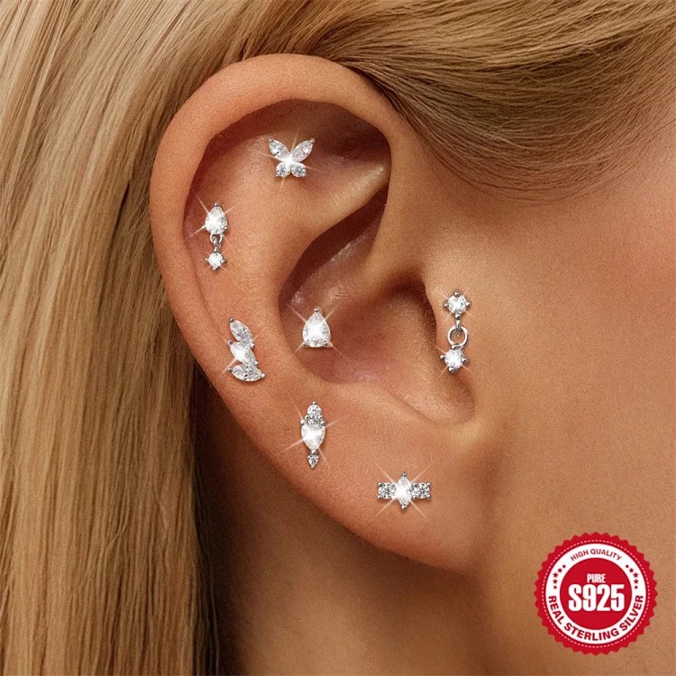 Luxury Silver Earrings