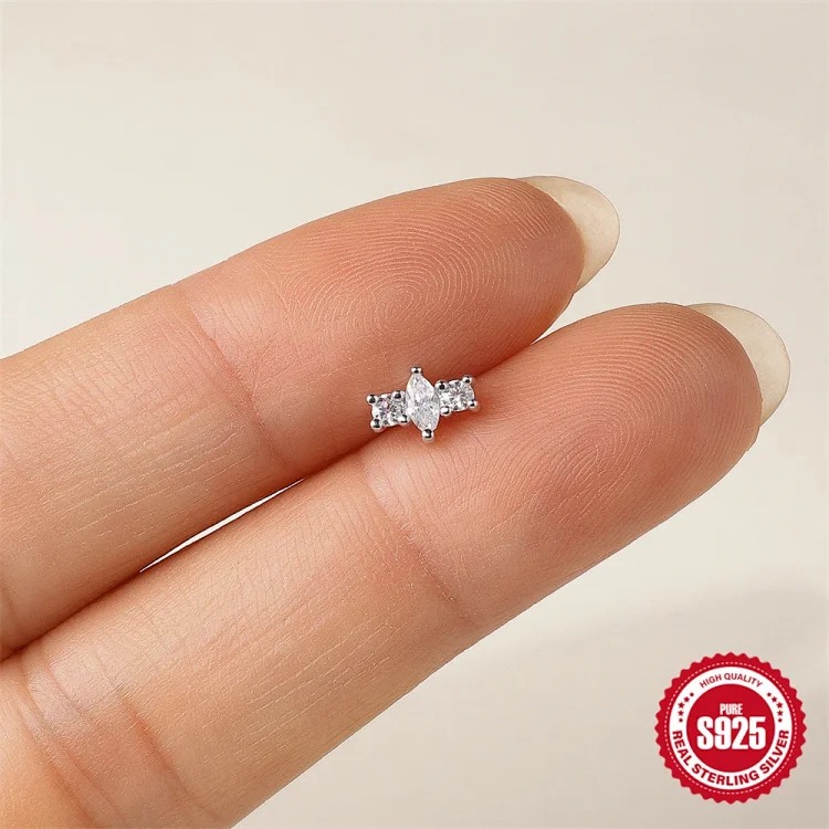 Luxury Silver Earrings