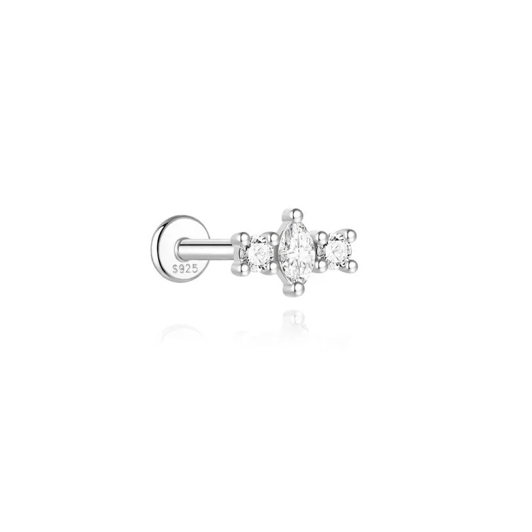 Luxury Silver Earrings