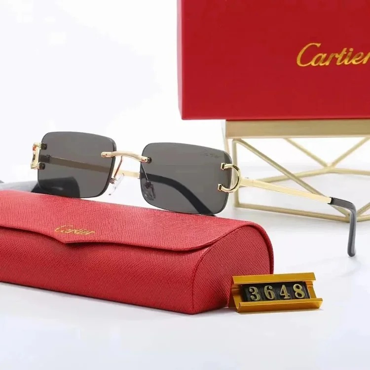 Fashion Trendy Sunglasses