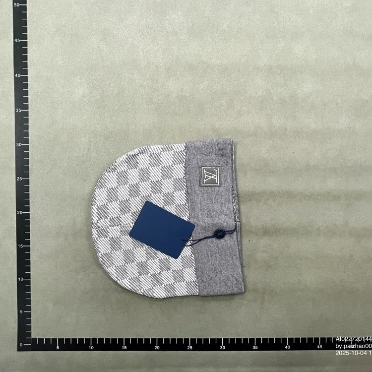 Ins warm fashion hat