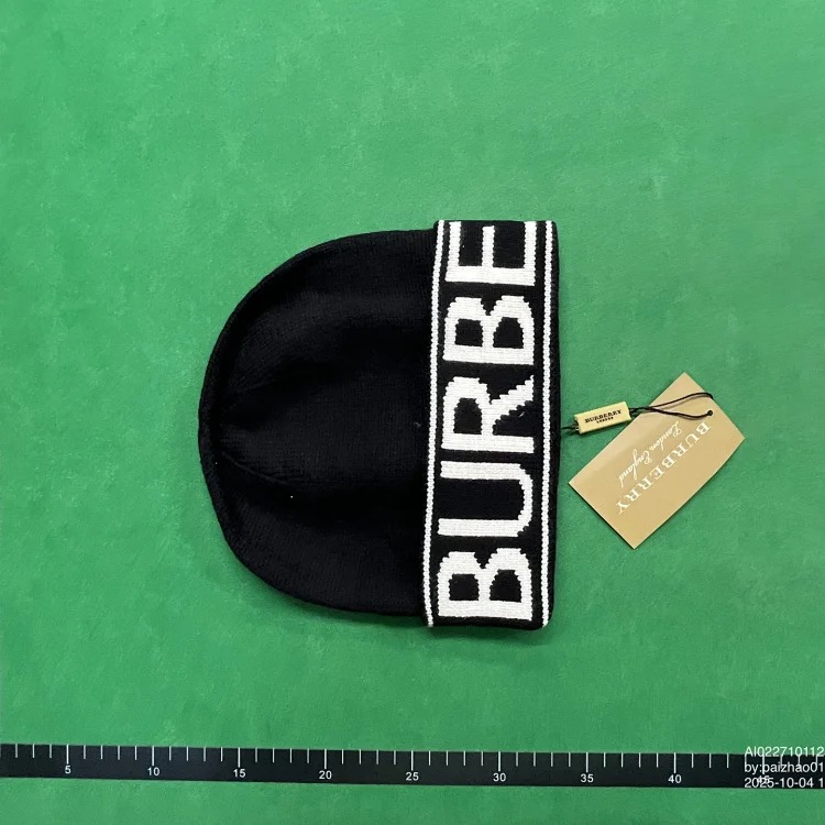 Ins warm fashion hat