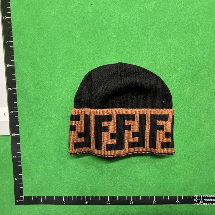 Ins warm fashion hat