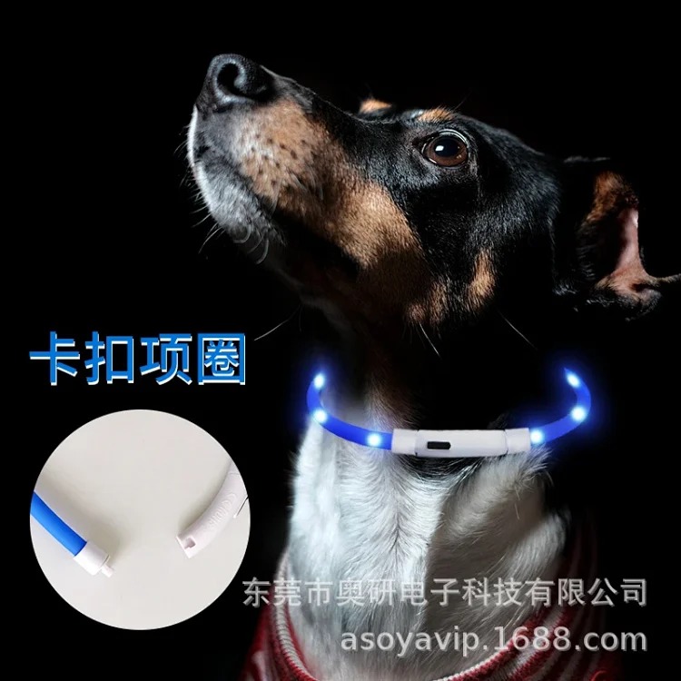 Fashion Accessory 7801981892