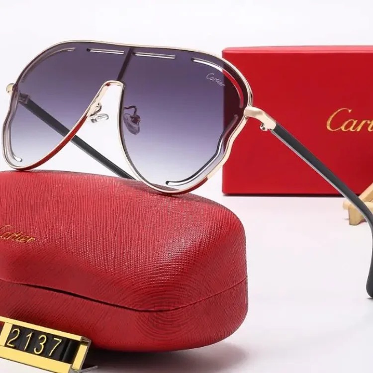 2025 new fashion sunglasses-CY
