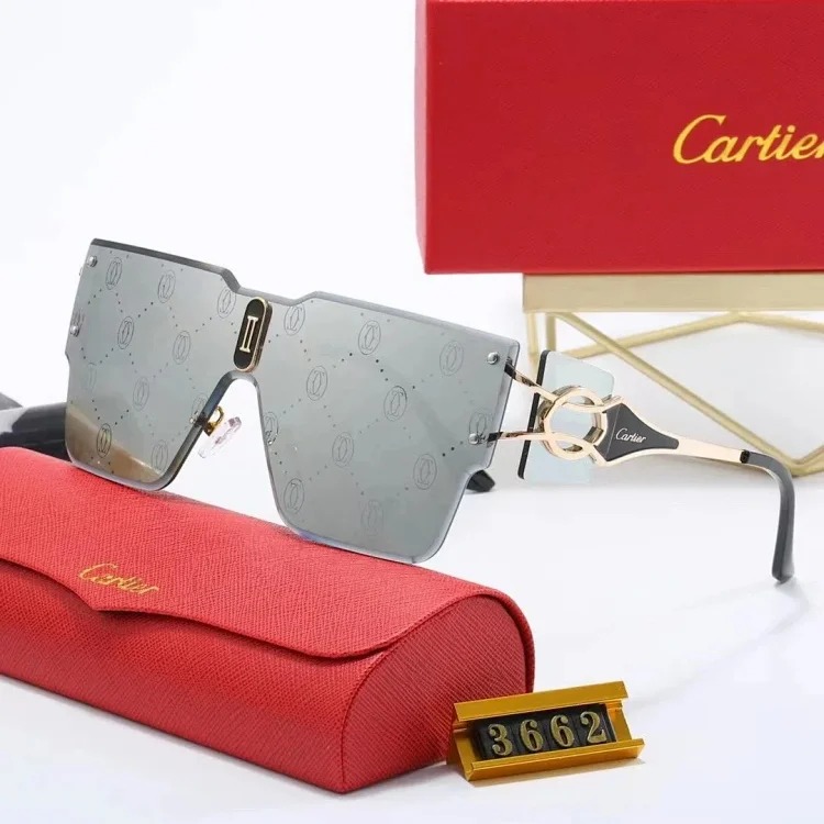 New fashion trendy sunglasses 078
