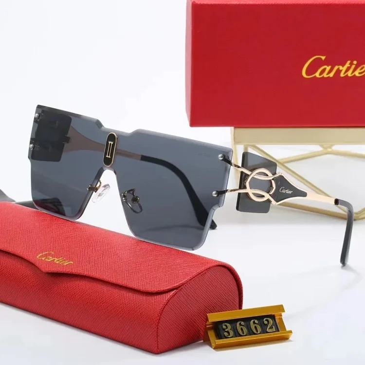 New fashion trendy sunglasses 078