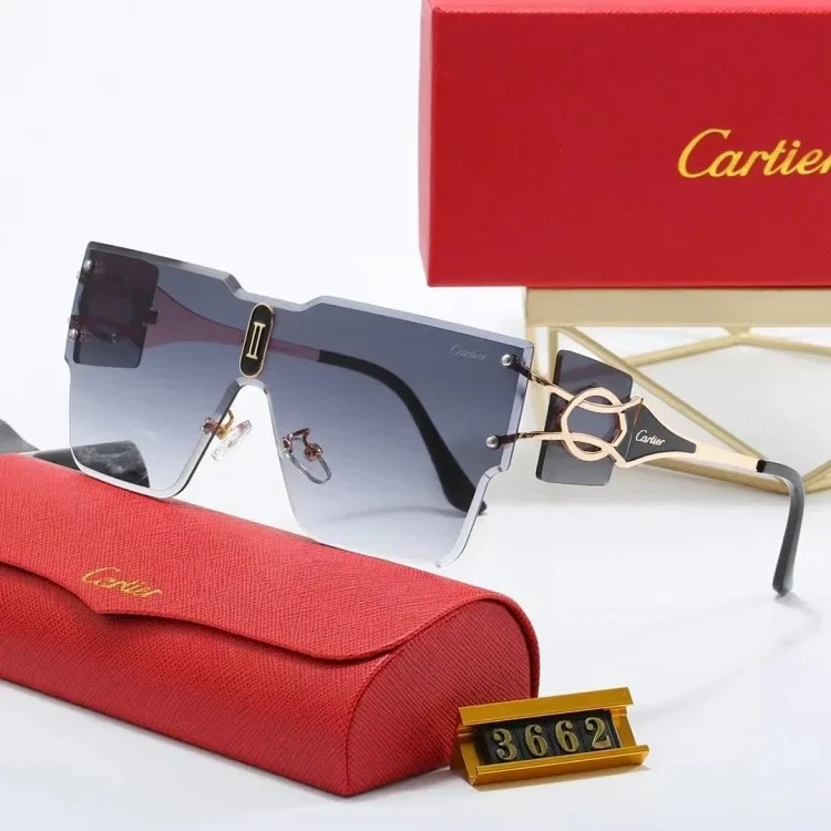 New fashion trendy sunglasses 078