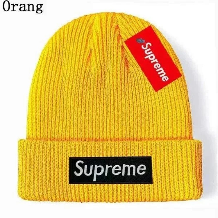 Autumn and winter fashionable knitted hat 02