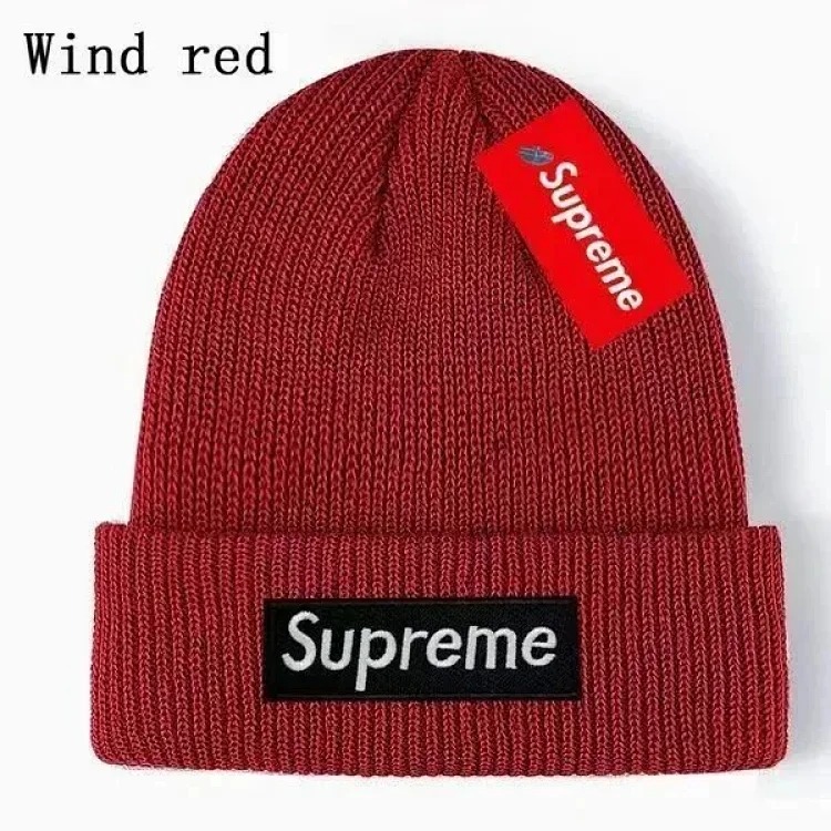 Autumn and winter fashionable knitted hat 02